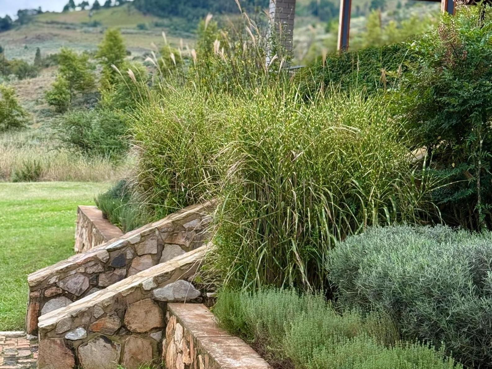 Stone Creek Mountain Lodge Dullstroom Zewnętrze zdjęcie