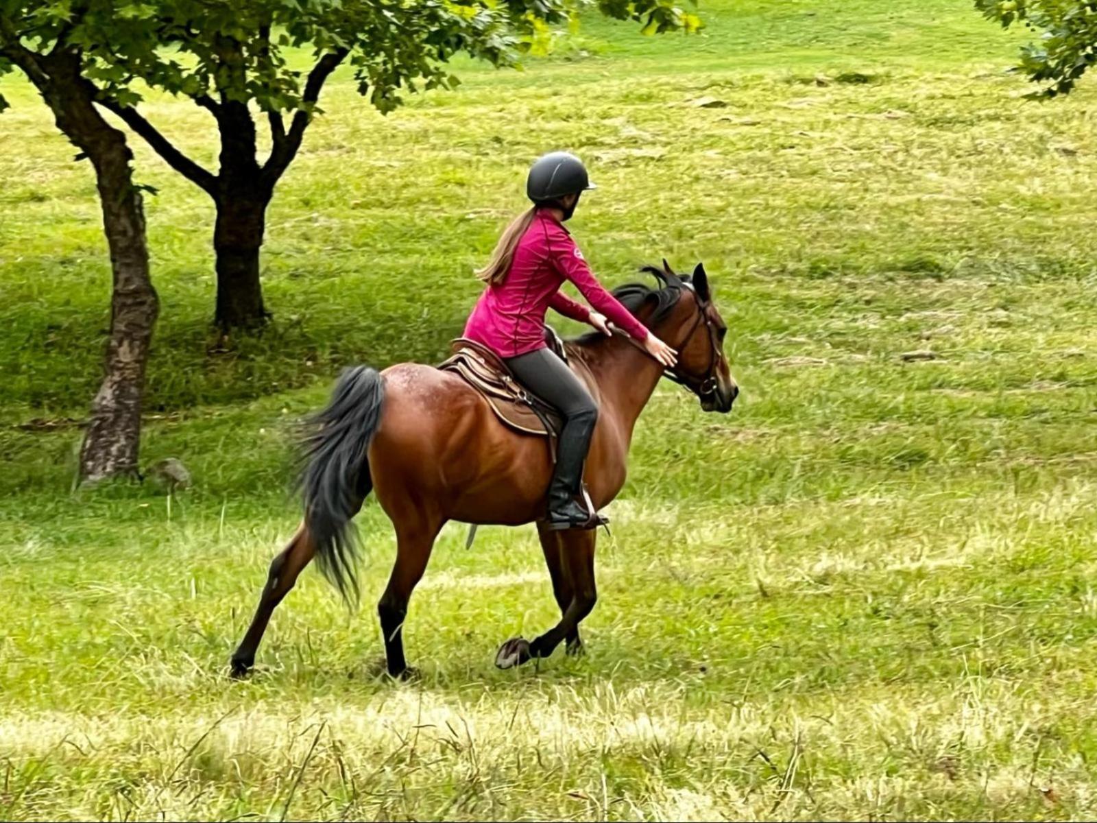 Stone Creek Mountain Lodge Dullstroom Zewnętrze zdjęcie