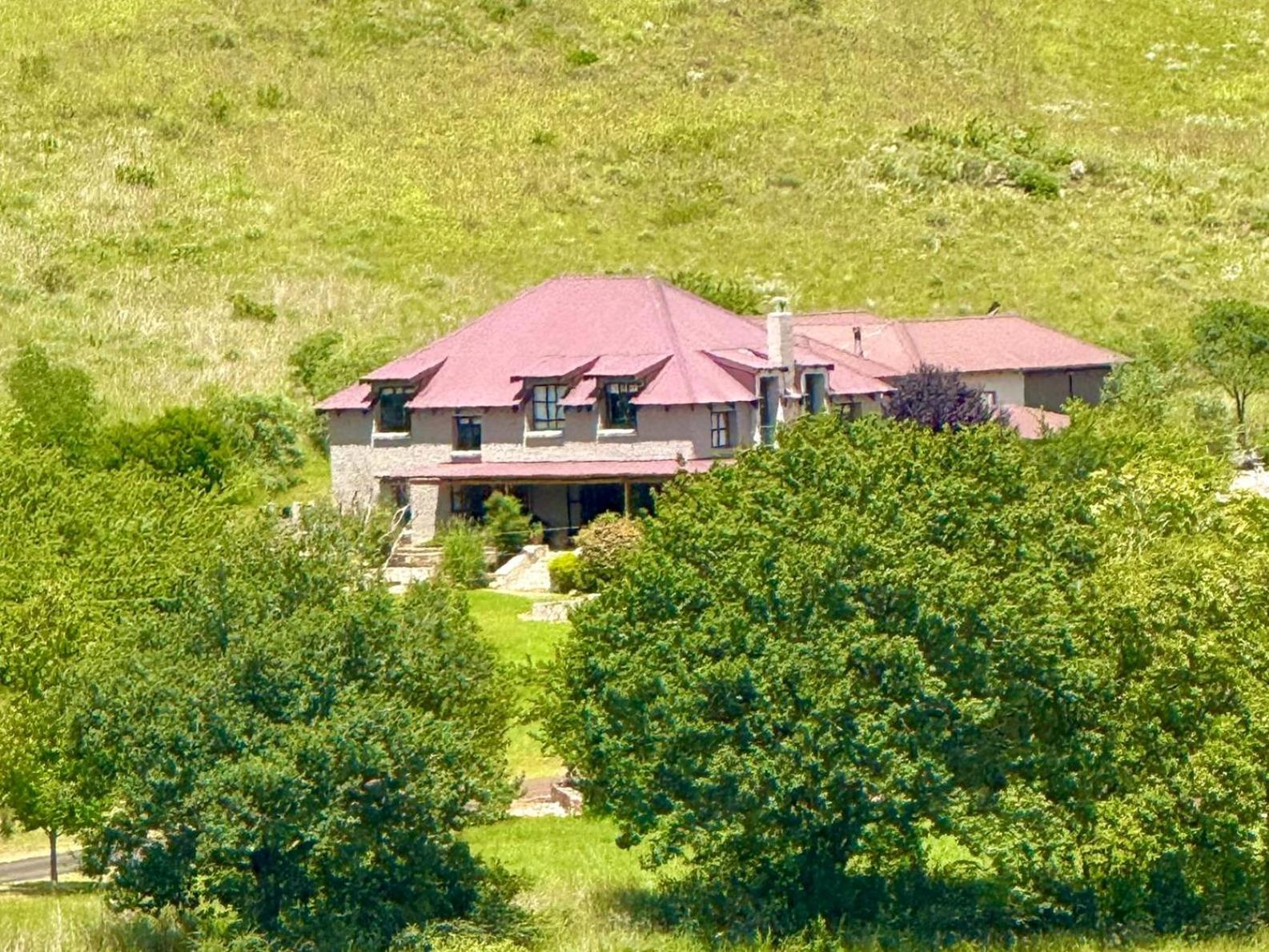 Stone Creek Mountain Lodge Dullstroom Zewnętrze zdjęcie